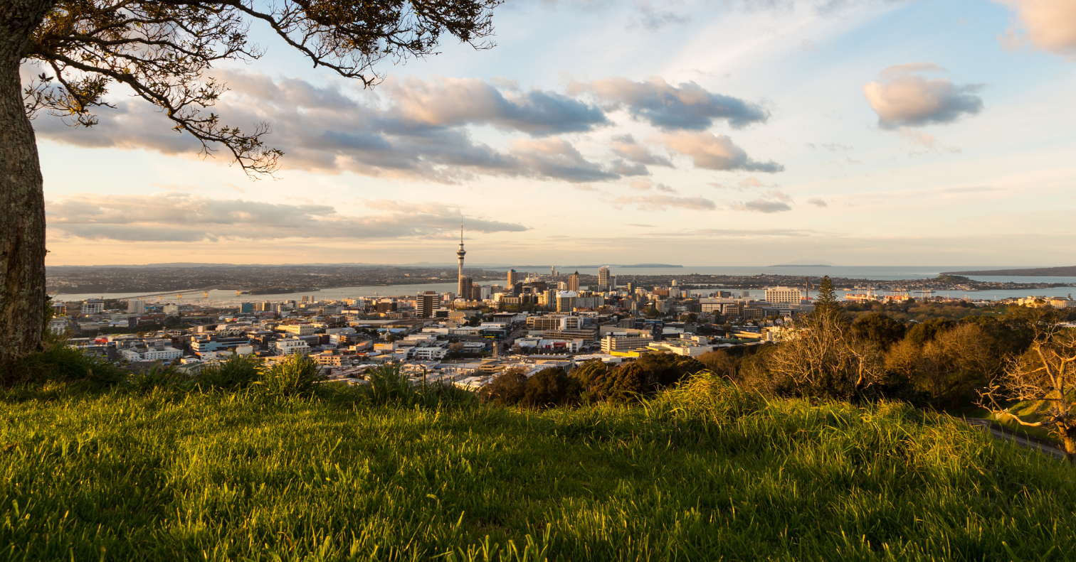 Auckland City landscape