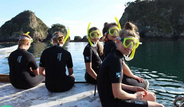 People snorkelling in New Zealand