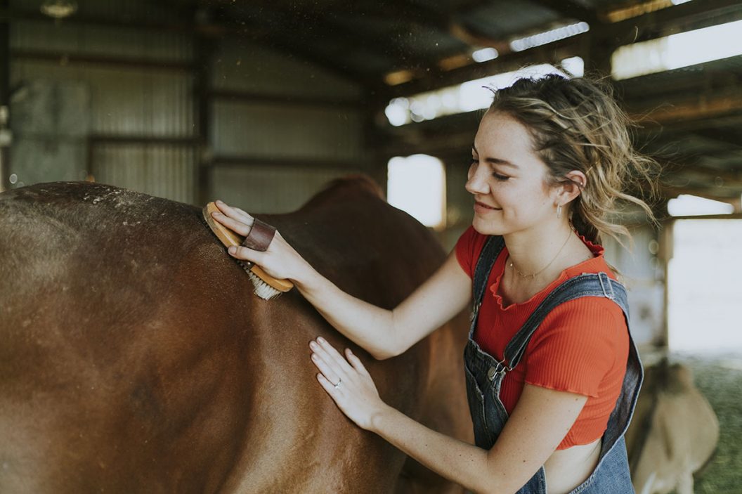 Girl brushing horse in New Zealand