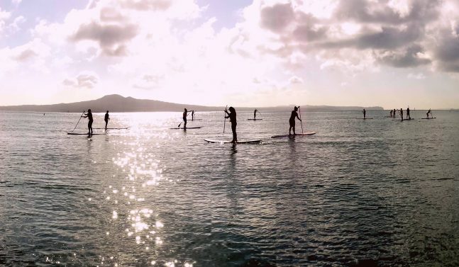 Paddle boarding in Auckland Harbour