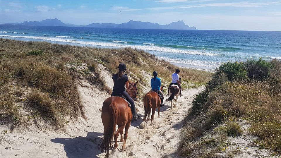 Horse Trek in New Zealand