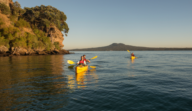 Kayaking Browns Island Auckland