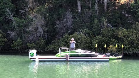 Kayaking Auckland city