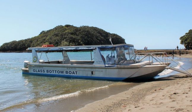 Glass bottom boat Goat island Auckland