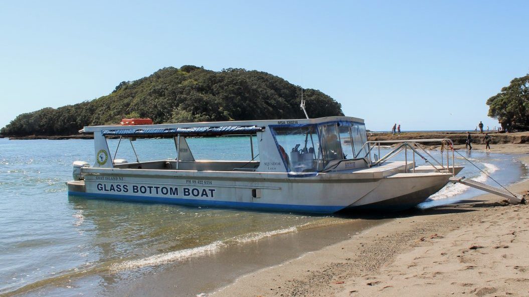 Glass bottom boat Goat island Auckland