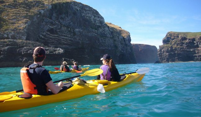 Pohatu marine reserve kayaking