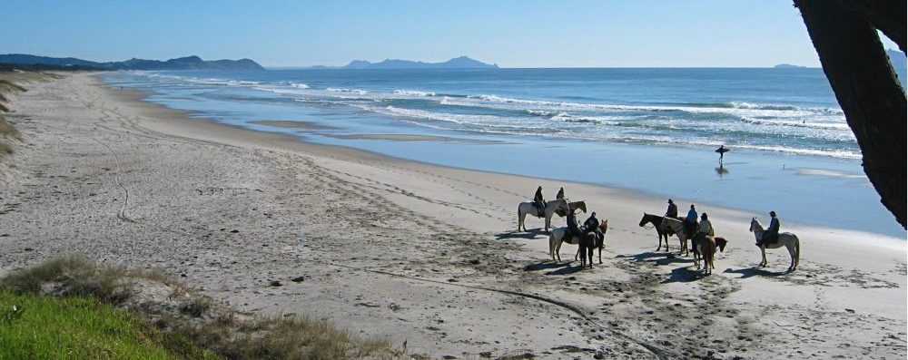 Horse riders on Te Arai beach