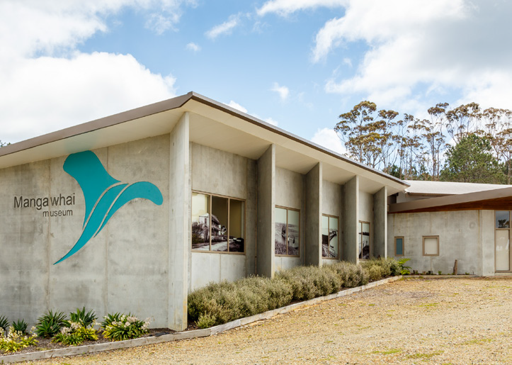 Top 10 things to do in Te Arai, North of Auckland BeKiwi