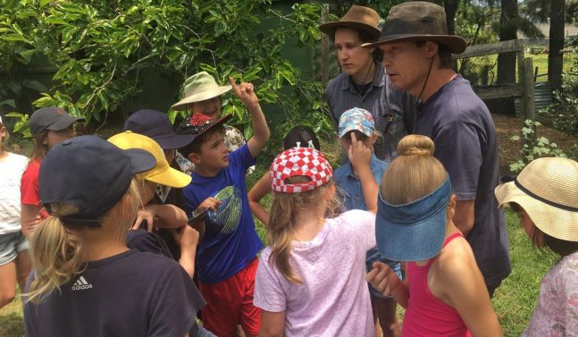 Teaching kids with Kelmarna Gardens in Auckland