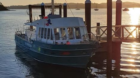 Fishing charters in Bay of islands