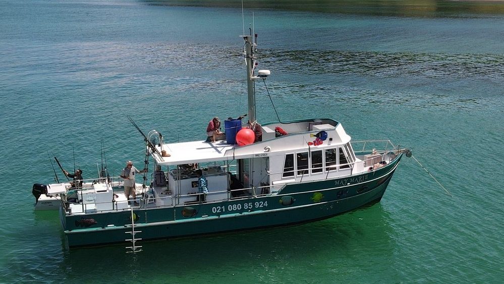 Fishing charters in Bay of islands