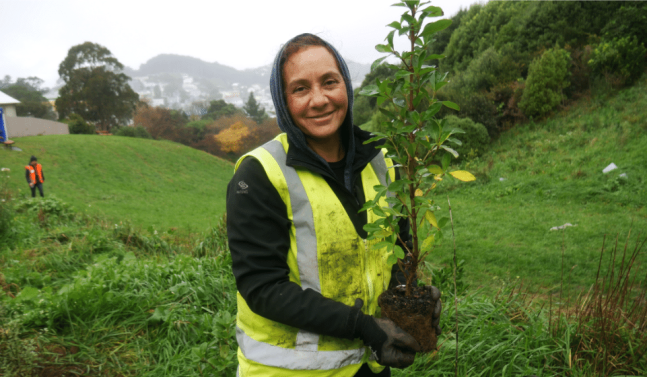 Woman holding plant doing community planting in Auckland